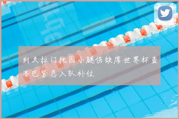 利夫拉门托因小腿伤缺席世界杯查洛巴紧急入队补位