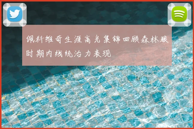 佩科维奇生涯高光集锦回顾森林狼时期内线统治力表现