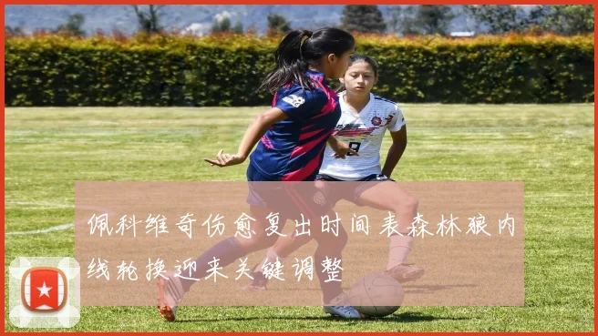 佩科维奇伤愈复出时间表森林狼内线轮换迎来关键调整