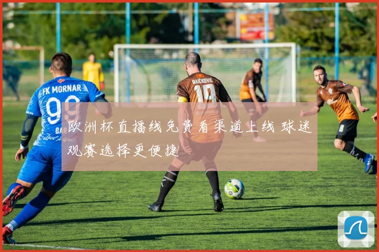 欧洲杯直播线免费看渠道上线 球迷观赛选择更便捷