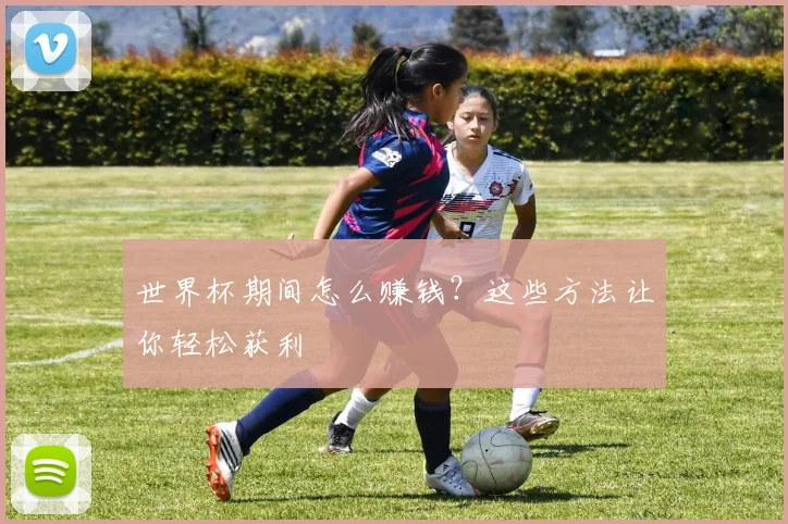世界杯期间怎么赚钱?这些方法让你轻松获利