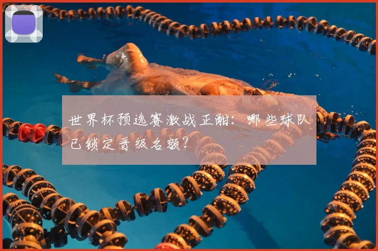 世界杯预选赛激战正酣:哪些球队已锁定晋级名额?