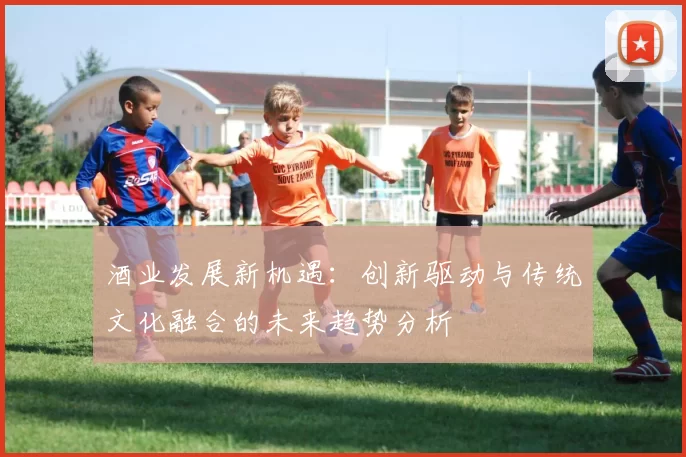 酒业发展新机遇：创新驱动与传统文化融合的未来趋势分析