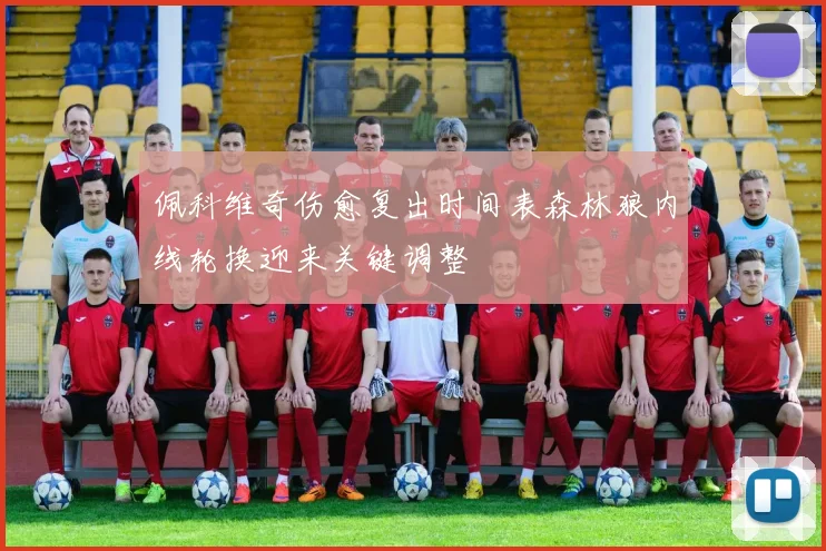 佩科维奇伤愈复出时间表森林狼内线轮换迎来关键调整