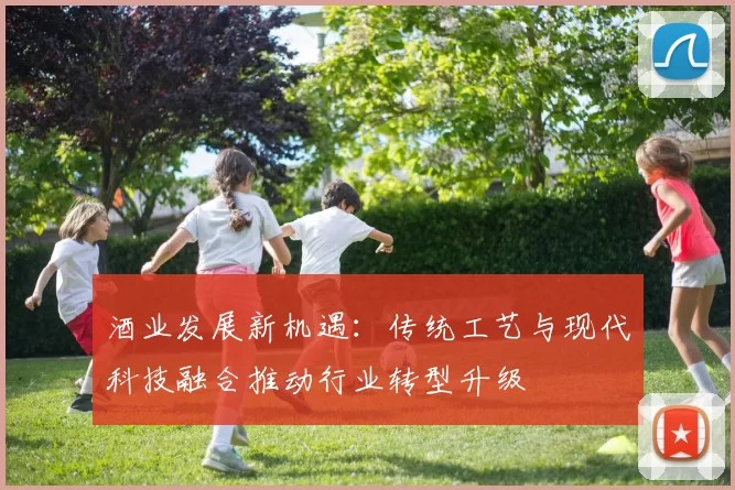 酒业发展新机遇：传统工艺与现代科技融合推动行业转型升级