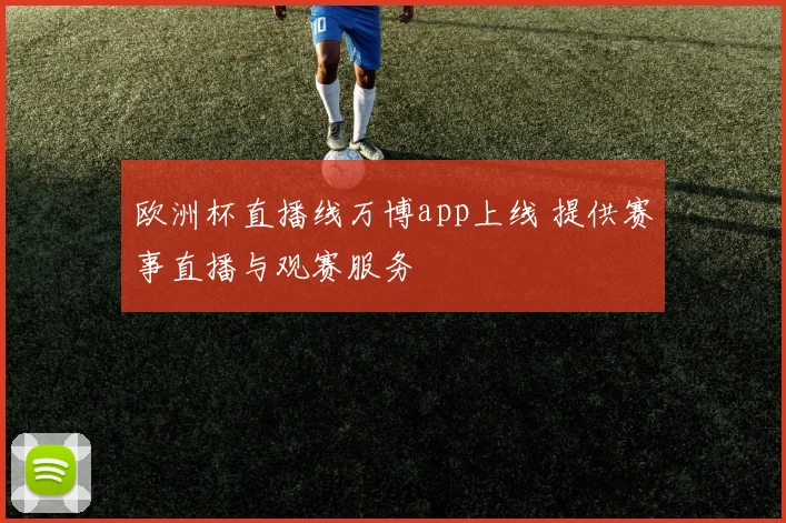 欧洲杯直播线万博app上线 提供赛事直播与观赛服务