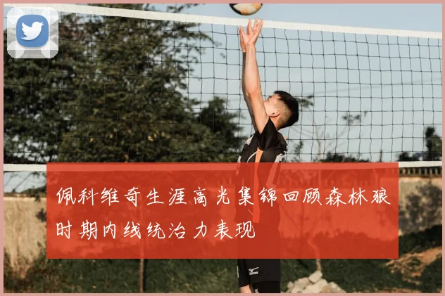 佩科维奇生涯高光集锦回顾森林狼时期内线统治力表现