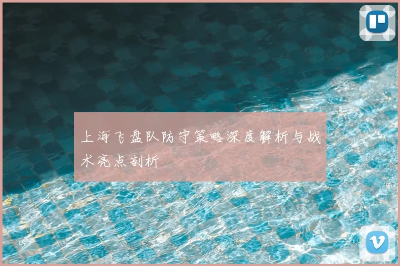 上海飞盘队防守策略深度解析与战术亮点剖析