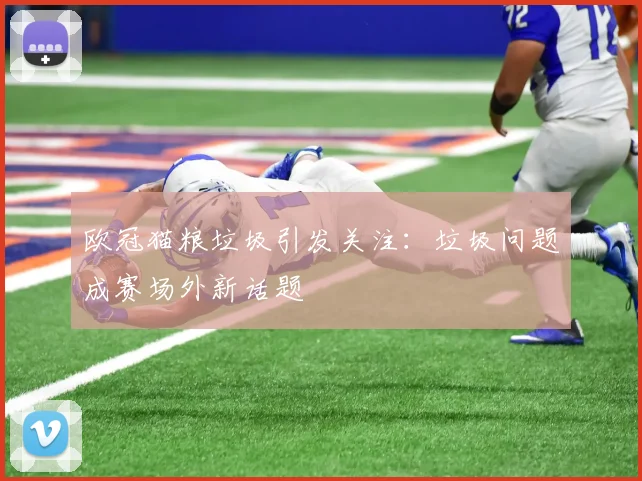 欧冠猫粮垃圾引发关注：垃圾问题成赛场外新话题