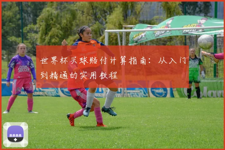 世界杯买球赔付计算指南：从入门到精通的实用教程