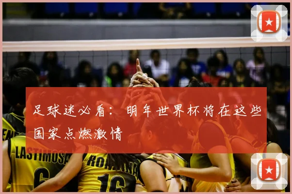 足球迷必看：明年世界杯将在这些国家点燃激情