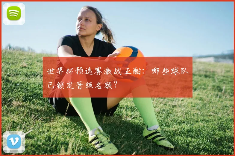 世界杯预选赛激战正酣：哪些球队已锁定晋级名额？