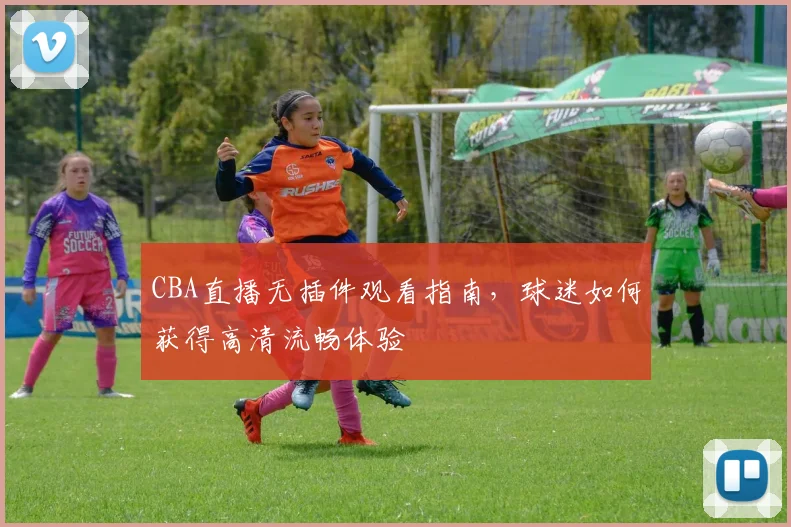 CBA直播无插件观看指南，球迷如何获得高清流畅体验