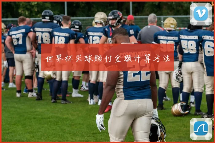 世界杯买球赔付金额计算方法