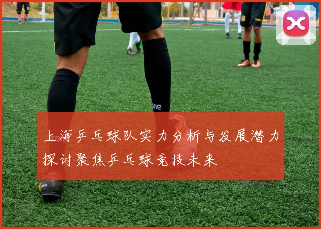 上海乒乓球队实力分析与发展潜力探讨聚焦乒乓球竞技未来